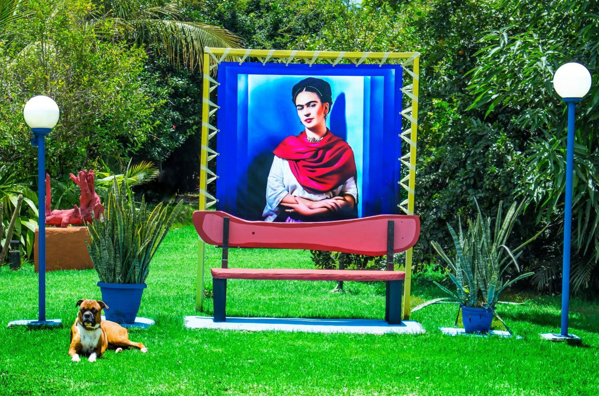 Casa De Frida Pousada Galeria Pirenópolis Zewnętrze zdjęcie